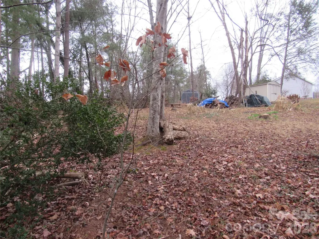19 Westminster Drive Asheville NC 28804