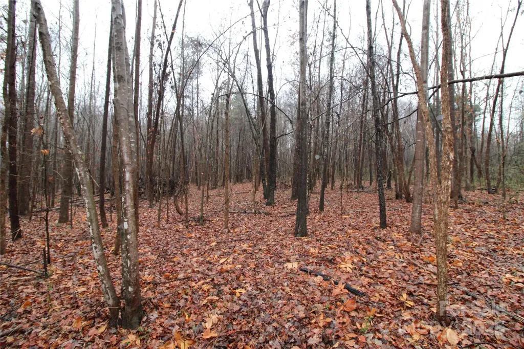 3.02+/-AC Bess Road Bessemer City NC 28016