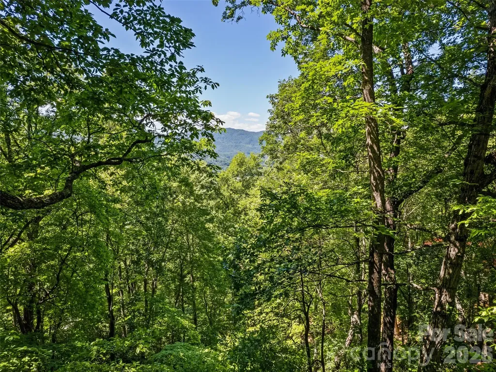 1392 Mount Chalet Road Canton NC 28716