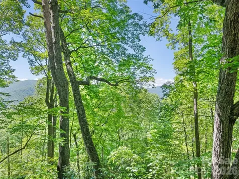 1392 Mount Chalet Road Canton NC 28716