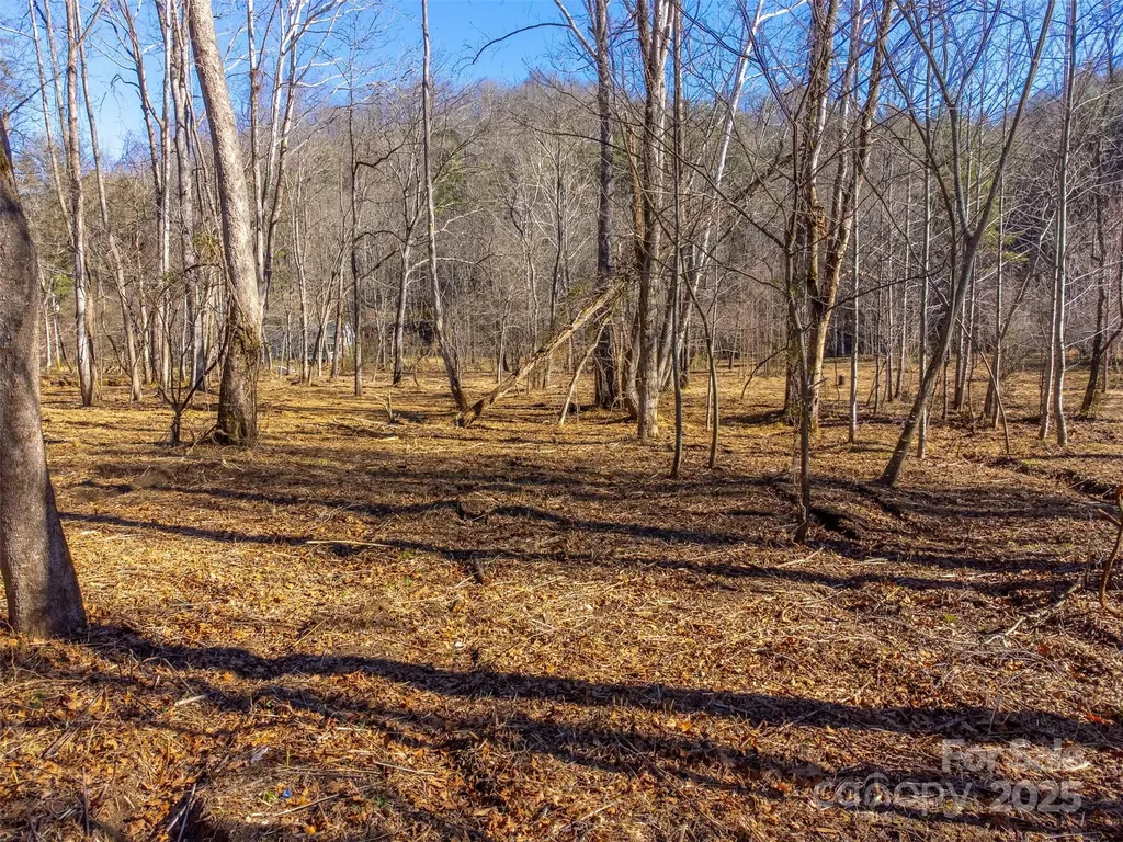 Lt 1,2,3 Caney Fork Road Cullowhee NC 28723