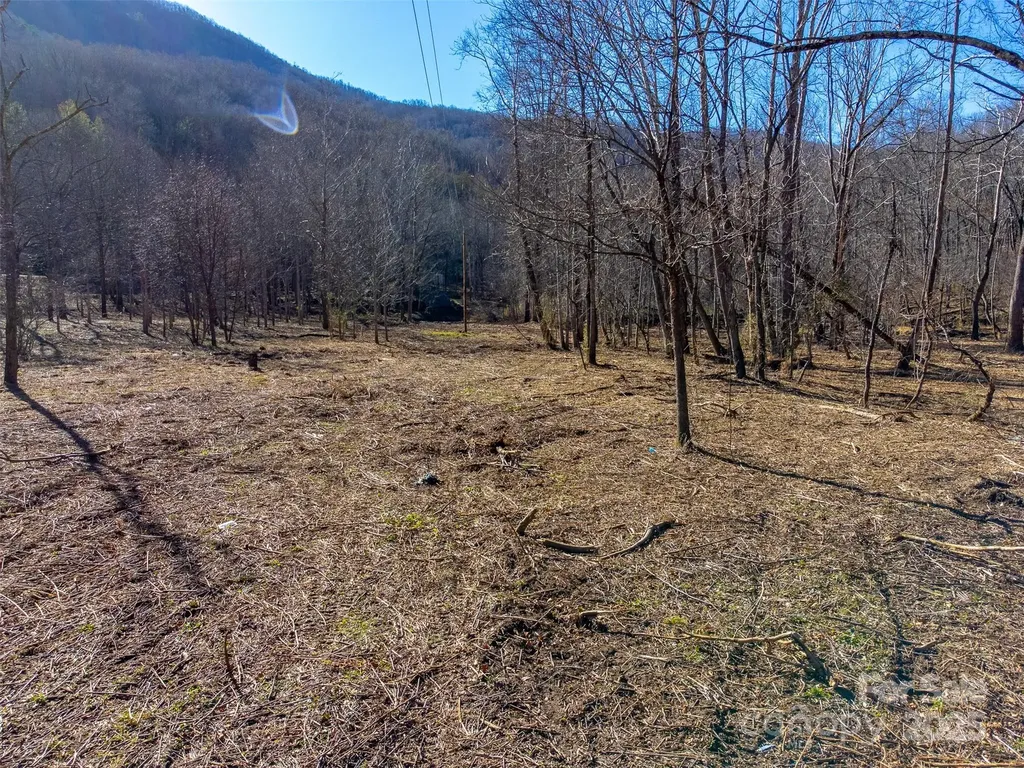 Lt 1,2,3 Caney Fork Road Cullowhee NC 28723