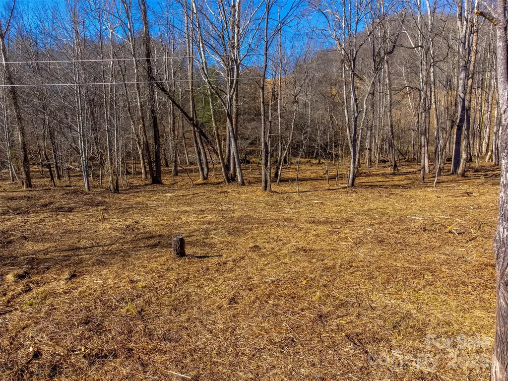 Lt 1,2,3 Caney Fork Road Cullowhee NC 28723