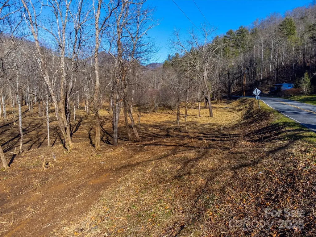 Lt 1,2,3 Caney Fork Road Cullowhee NC 28723