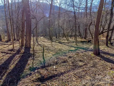 Lt 1,2,3 Caney Fork Road Cullowhee NC 28723