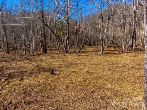 Lt 1,2,3 Caney Fork Road Cullowhee NC 28723