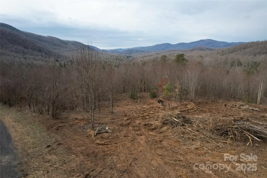 99999 Old Fort Road Black Mountain NC 28711