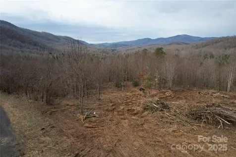 99999 Old Fort Road Black Mountain NC 28711
