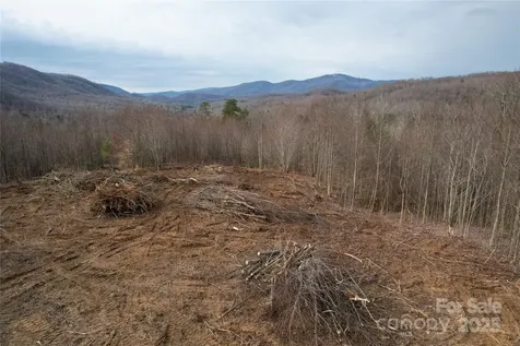 99999 Old Fort Road Black Mountain NC 28711