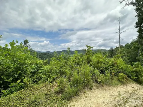 Tbd Nc Highway 194 S Sugar Grove NC 28679