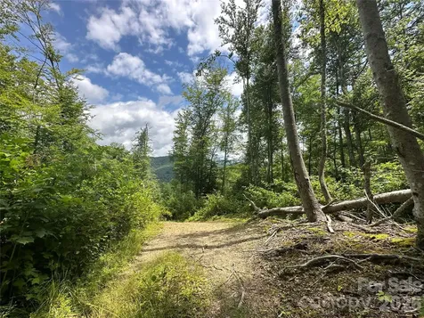 Tbd Nc Highway 194 S Sugar Grove NC 28679
