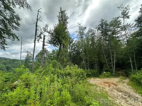 Tbd Nc Highway 194 S Sugar Grove NC 28679