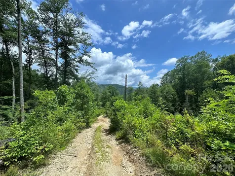 Tbd Nc Highway 194 S Sugar Grove NC 28679