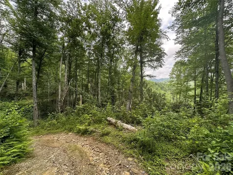 Tbd Nc Highway 194 S Sugar Grove NC 28679
