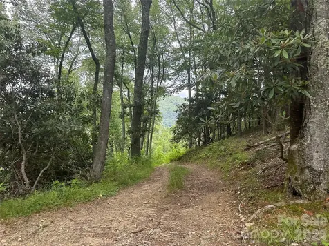 Tbd Nc Highway 194 S Sugar Grove NC 28679