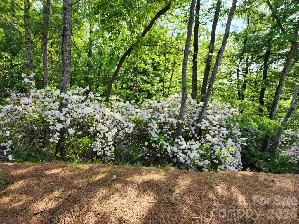9999 Bulling Creek Road Penrose NC 28766