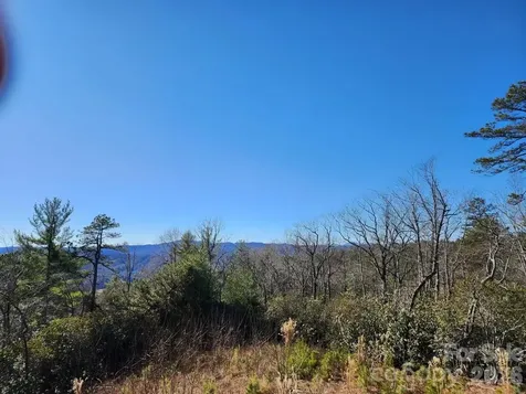 9999 Bulling Creek Road Penrose NC 28766