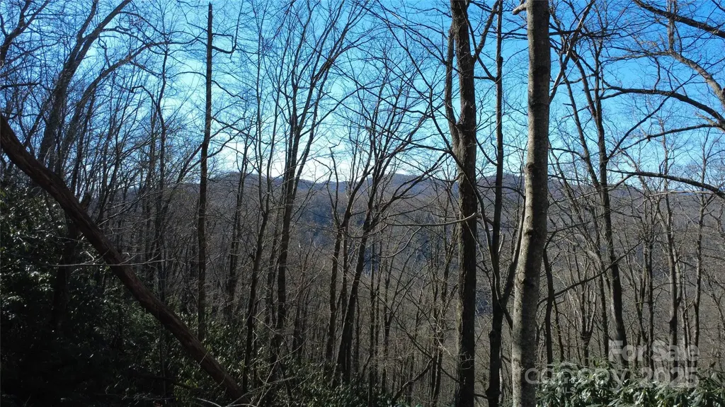 Lot 18 Joshua Road Rosman NC 28772