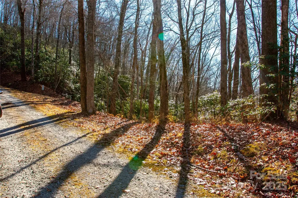 Lot 18 Joshua Road Rosman NC 28772