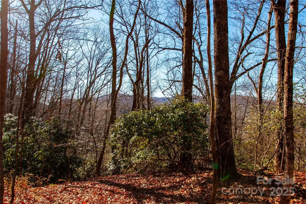Lot 18 Joshua Road Rosman NC 28772