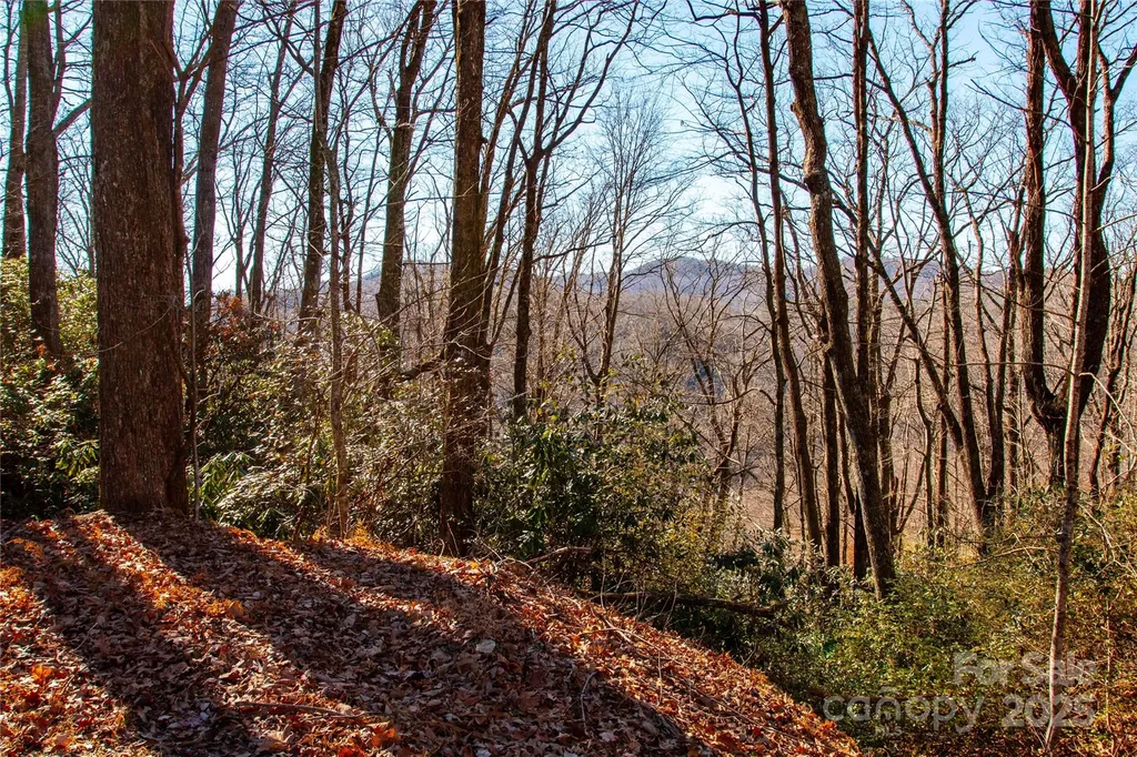 Lot 18 Joshua Road Rosman NC 28772
