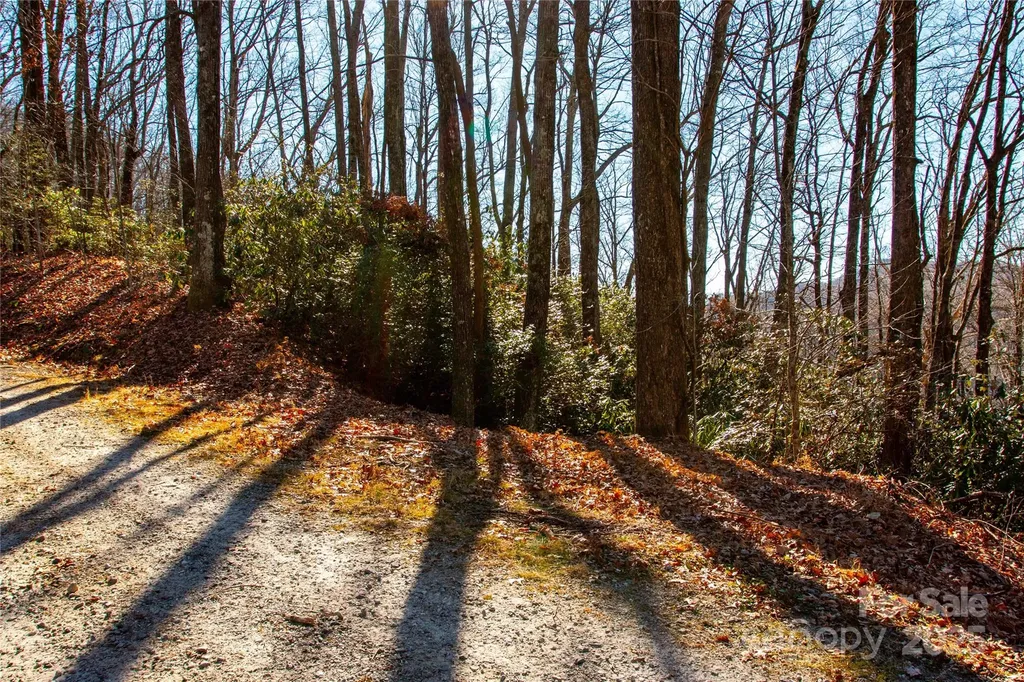 Lot 18 Joshua Road Rosman NC 28772