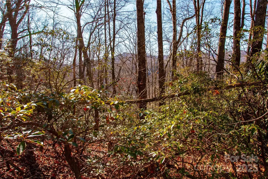 Lot 18 Joshua Road Rosman NC 28772