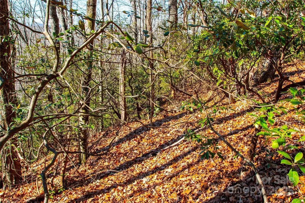 Lot 18 Joshua Road Rosman NC 28772