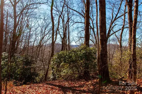 Lot 18 Joshua Road Rosman NC 28772