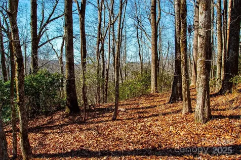 Lot 18 Joshua Road Rosman NC 28772
