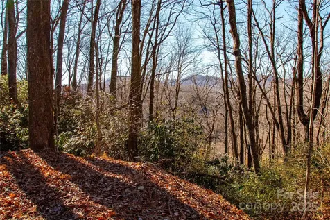 Lot 18 Joshua Road Rosman NC 28772