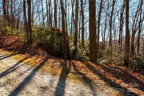 Lot 18 Joshua Road Rosman NC 28772