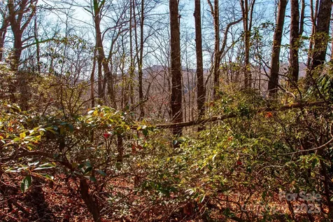 Lot 18 Joshua Road Rosman NC 28772