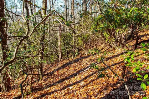 Lot 18 Joshua Road Rosman NC 28772
