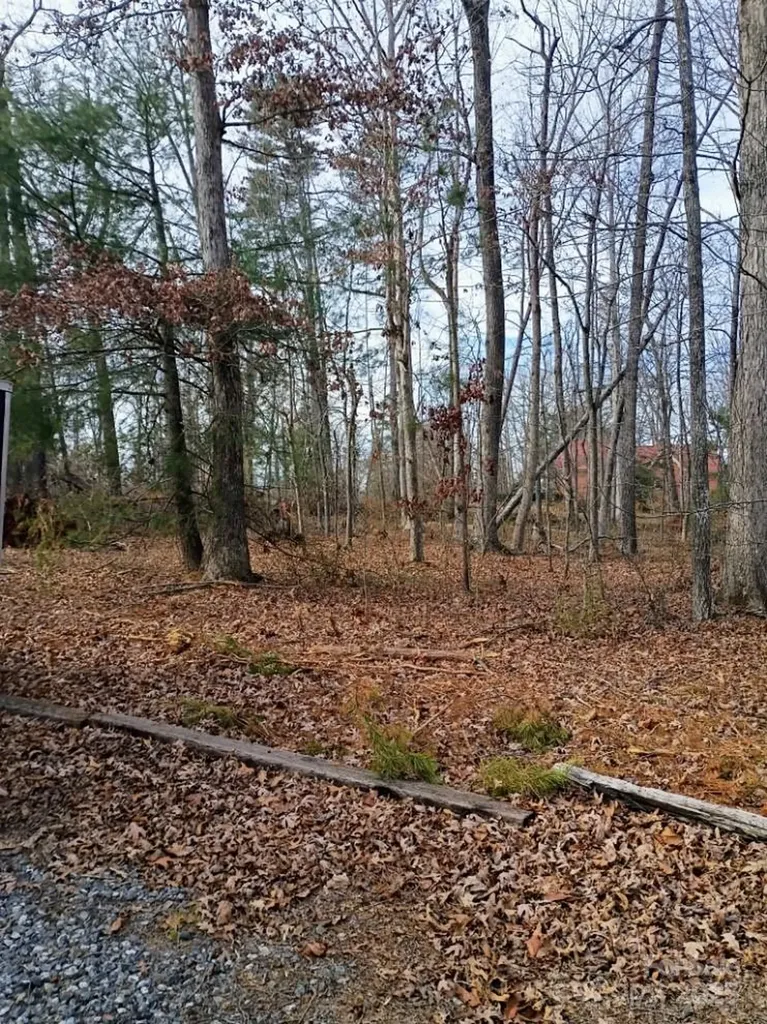 00 Chimney Rock Road Rutherfordton NC 28139