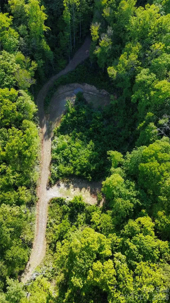1182 Tunnel Mountain Road Sylva NC 28779