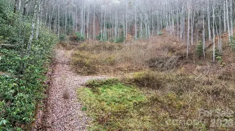 1182 Tunnel Mountain Road Sylva NC 28779