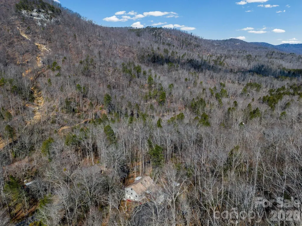 111 Buckeye Road Lake Lure NC 28746