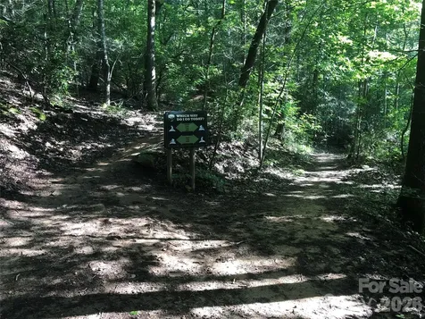 111 Buckeye Road Lake Lure NC 28746