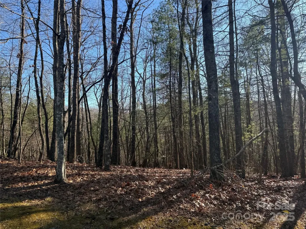 V/l Spanish Oak Drive Cedar Mountain NC 28718