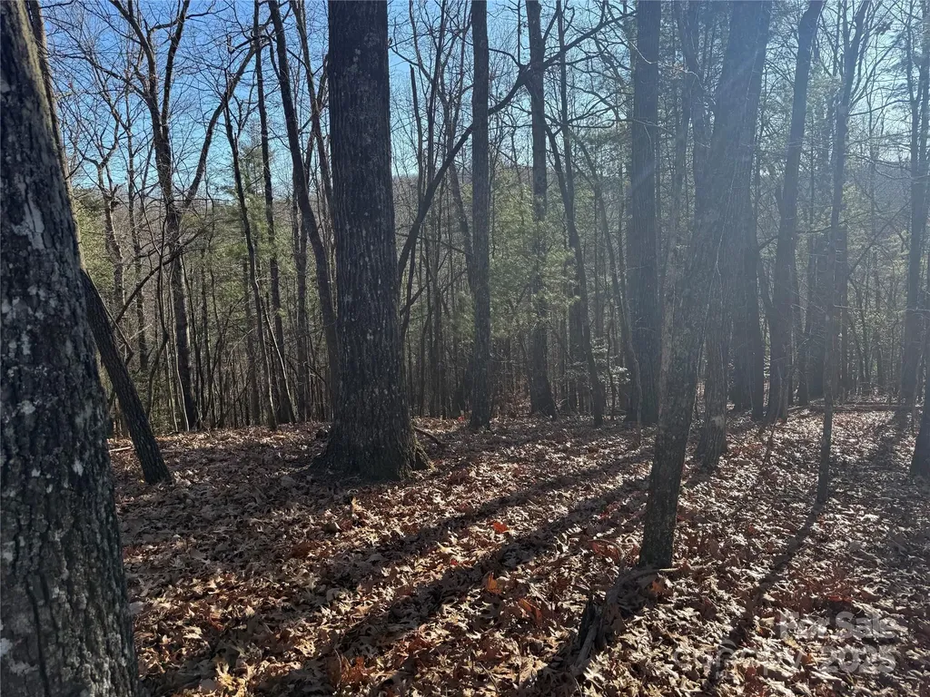 V/l Spanish Oak Drive Cedar Mountain NC 28718