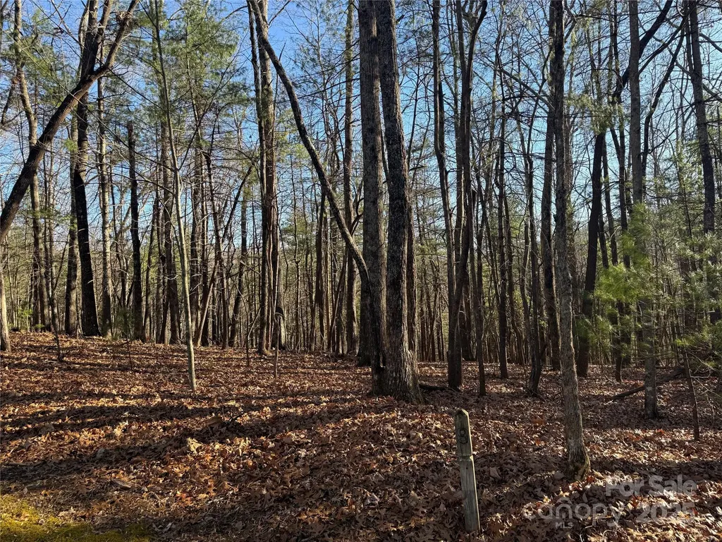 V/l Spanish Oak Drive Cedar Mountain NC 28718