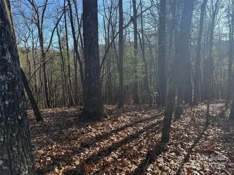 V/l Spanish Oak Drive Cedar Mountain NC 28718