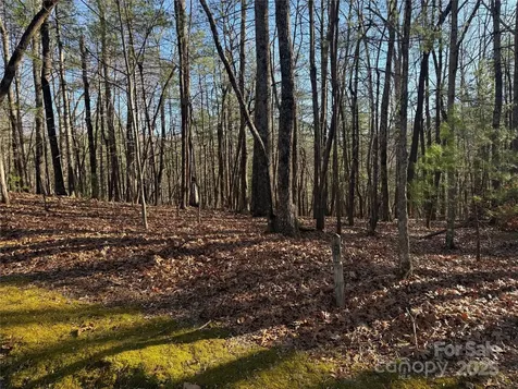V/l Spanish Oak Drive Cedar Mountain NC 28718