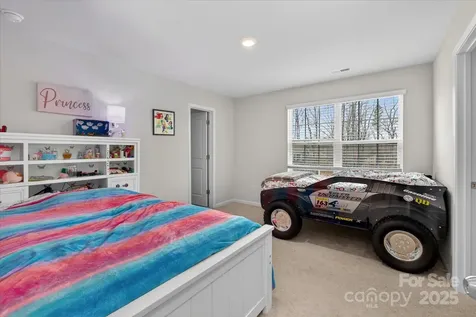 13017 Cinnamon Fern Lane Mint Hill NC 28227