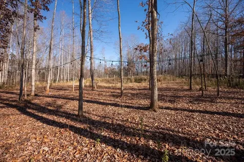 13017 Cinnamon Fern Lane Mint Hill NC 28227