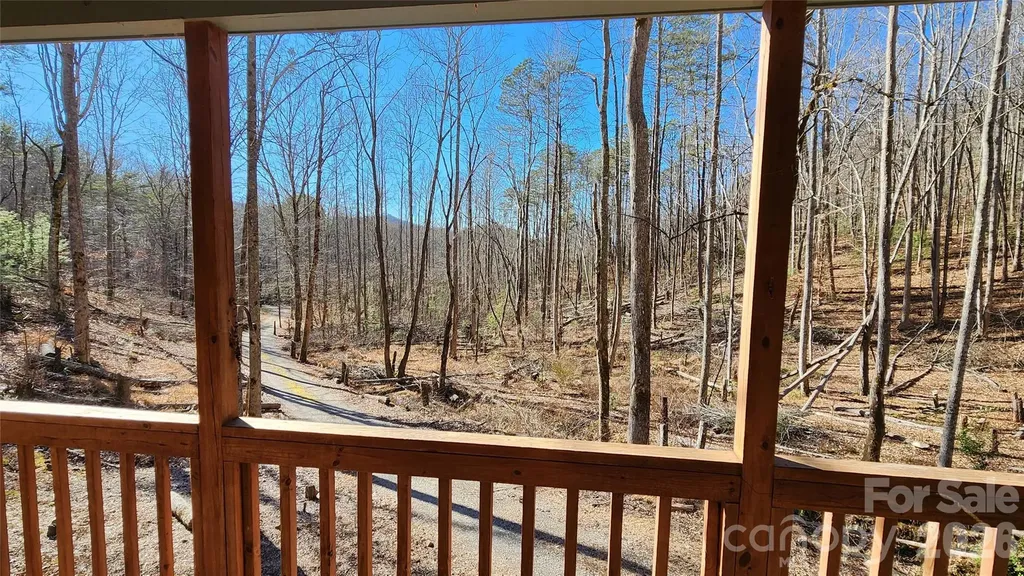 115 Old Camptown Drive Hayesville NC 28904