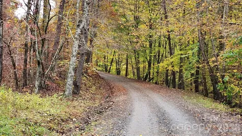 115 Old Camptown Drive Hayesville NC 28904