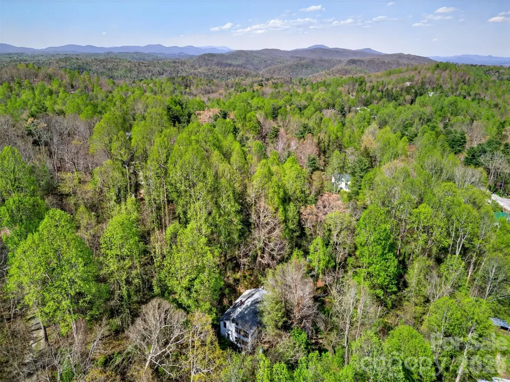 105 Poplar Street Saluda NC 28773