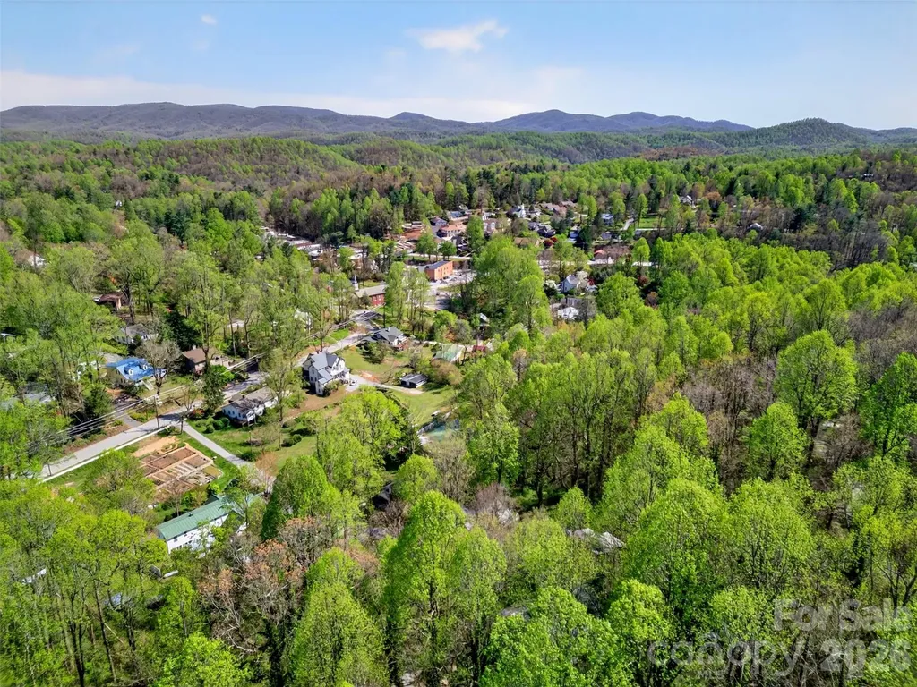 105 Poplar Street Saluda NC 28773